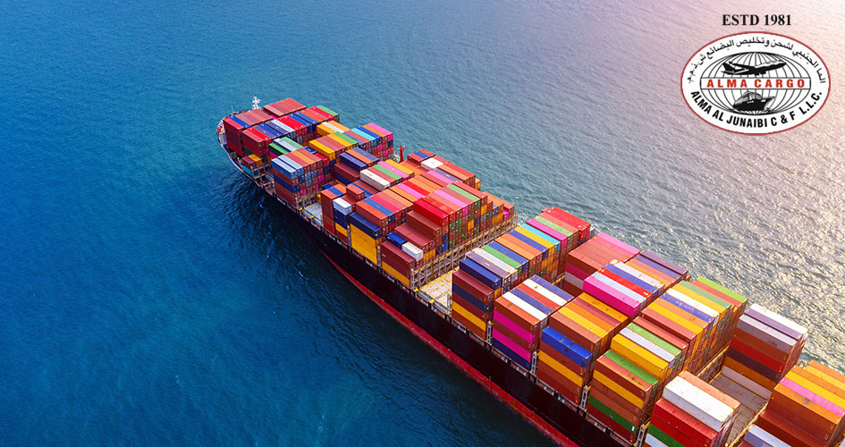 Customs Expertise And Documentation Accuracy