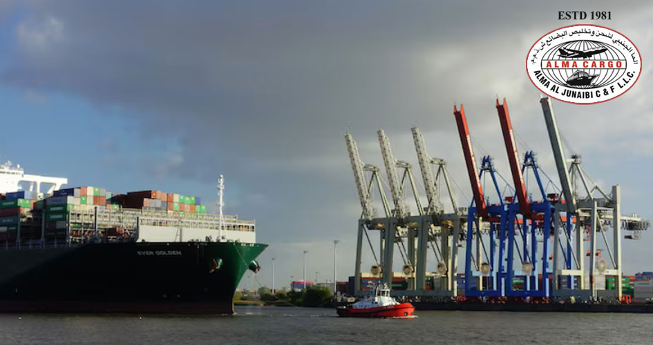 The Import and Export Code and Why It Matters